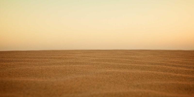 从篮球到马拉松：顶尖运动员的科学训练与营养跨界指南