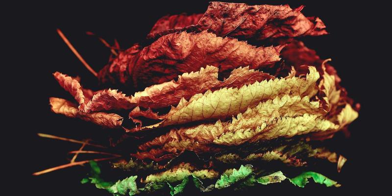 剑指巴黎!中国女篮奥运前景深度解析:内线双塔优势明显,外线火力成胜负关键